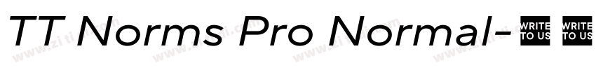 TT Norms Pro Normal字体转换 TT Norms Pro Normal字体转换